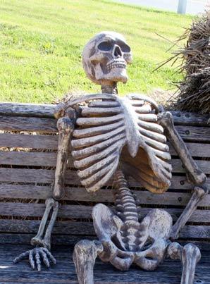 Turn Waiting Skeleton into a fresh social meme รูปอ้างอิง 1