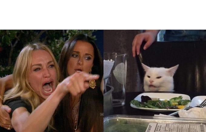 Turn Woman Yelling at Cat into a fresh social meme รูปอ้างอิง 1