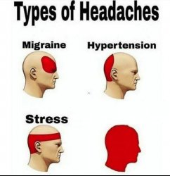0113 / Types of Headaches meme 第 1 张参考图