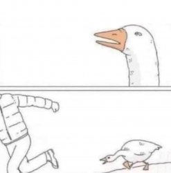 0153 / Goose Chase 第 1 张参考图