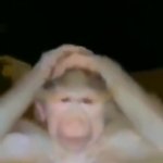 0166 / Confused Monkey 第 1 张参考图