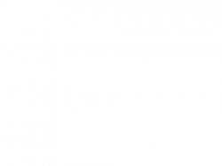 0167 / Blank White Template 第 1 张参考图