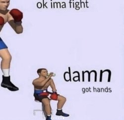 0171 / damn got hands 第 1 张参考图