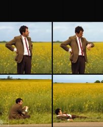 0208 / Mr bean waiting 第 1 张参考图