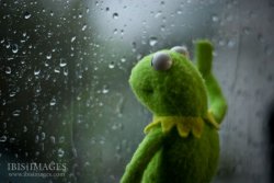 0215 / kermit window 第 1 张参考图