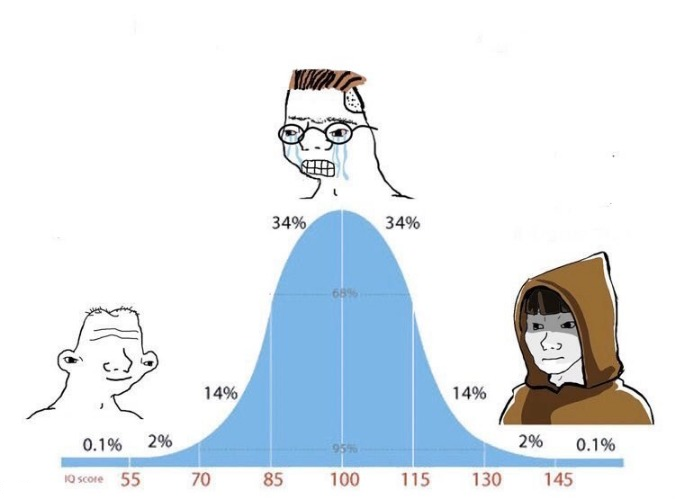 0232 / Bell Curve 第 1 张参考图