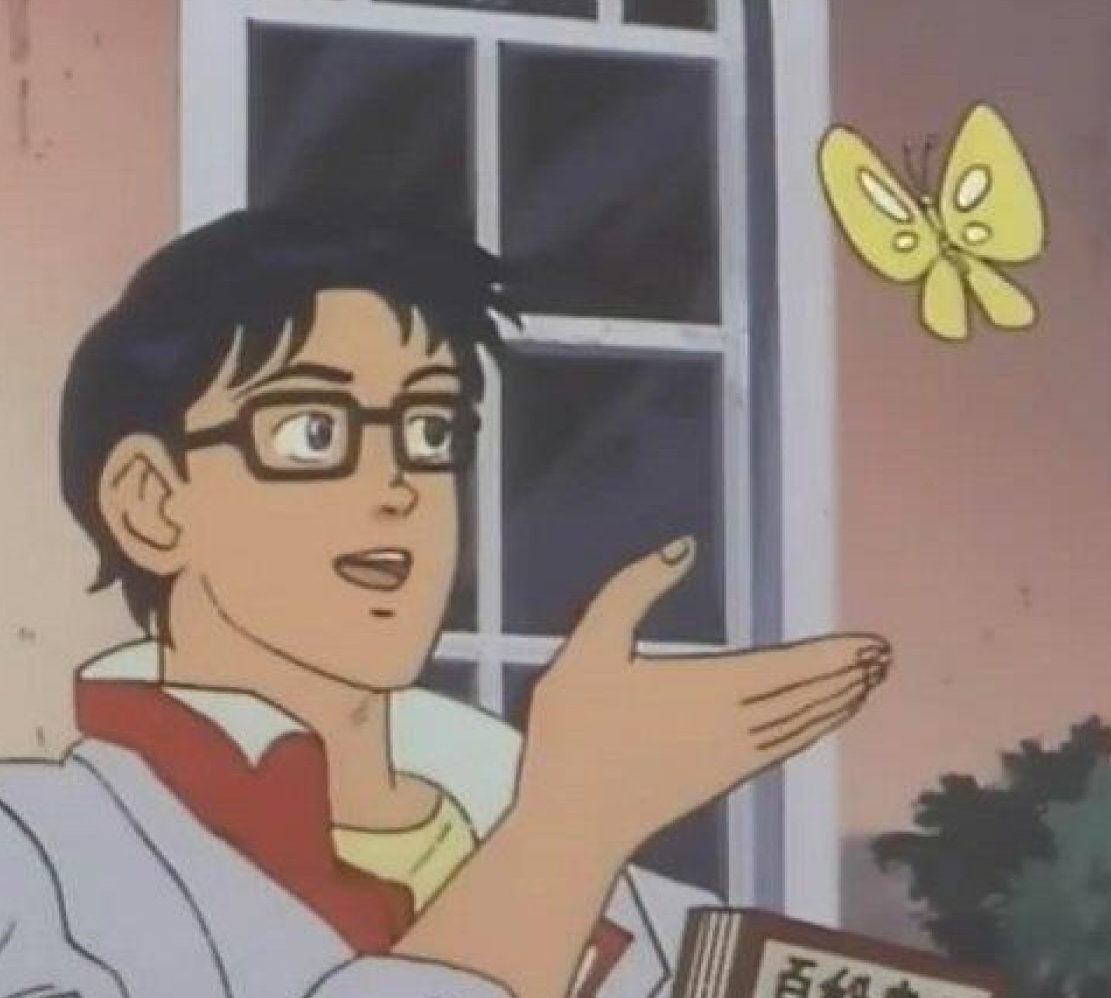 0243 / is this butterfly 第 1 张参考图