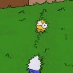 0259 / Homer disappears into bush 第 1 张参考图