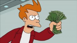 0263 / Shut Up And Take My Money Fry 第 1 张参考图