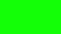 0270 / Green Background or whatever 第 1 张参考图