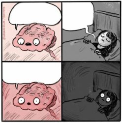 0276 / Brain Before Sleep 第 1 张参考图