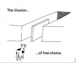 0283 / Illusion of free choice 第 1 张参考图