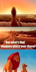0288 / Simba Shadowy Place 第 1 张参考图