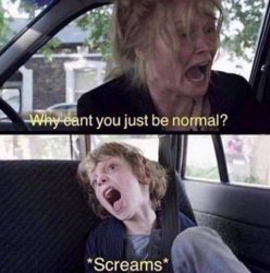 0290 / Why Can't You Just Be Normal 第 1 张参考图