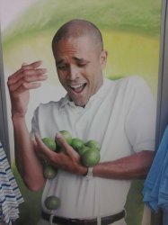 0292 / Why Can't I Hold All These Limes 第 1 张参考图