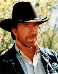 0349 / Chuck Norris 第 1 张参考图