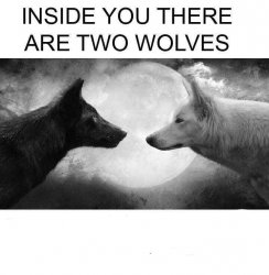 0359 / Inside you there are two wolves 第 1 张参考图