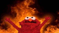 0365 / elmo fire 第 1 张参考图