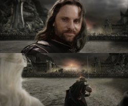 0386 / Aragorn Black Gate for Frodo 第 1 张参考图