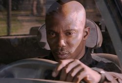 0392 / Doakes 第 1 张参考图