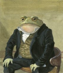 0395 / Gentleman frog 第 1 张参考图