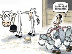 0403 / milking the cow 第 1 张参考图