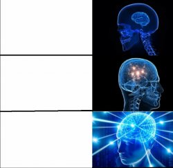 0406 / Galaxy Brain (3 brains) 第 1 张参考图