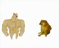0442 / Strong dog vs weak dog 第 1 张参考图
