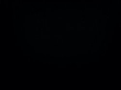 0443 / Black background 第 1 张参考图