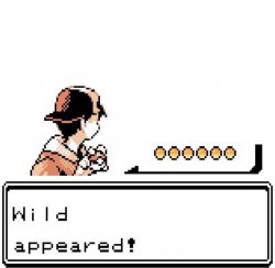 0448 / Blank Wild Pokemon Appears 第 1 张参考图