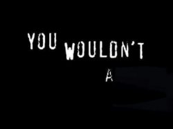 0462 / You wouldn’t X a Y 第 1 张参考图