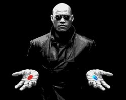 0490 / morpheus matrix blue pill red pill 第 1 张参考图
