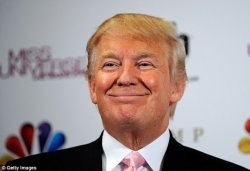 0497 / Donald trump approves 第 1 张参考图