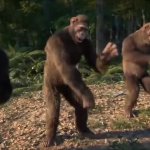 0506 / Dancing monkeys 第 1 张参考图