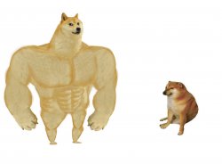 0520 / Big dog small dog 第 1 张参考图