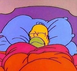 0539 / Homer Simpson sleeping peacefully 第 1 张参考图