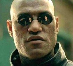 0557 / What if i told you 第 1 张参考图