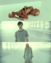 0573 / Dead Baby Voldemort / What Happened To Him 第 1 张参考图