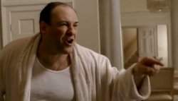 0589 / Tony Soprano in this house 第 1 张参考图