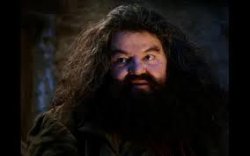 0613 / hagrid yer a wizard 第 1 张参考图