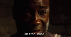 0645 / I'm tired boss 第 1 张参考图