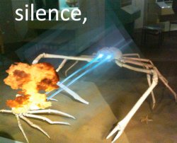 0653 / Silence Crab 第 1 张参考图