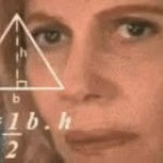 0662 / Confused Math Lady 第 1 张参考图