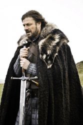 0667 / Brace Yourself 第 1 张参考图