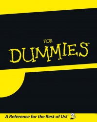 0701 / For Dummies 第 1 张参考图