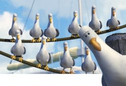 0702 / Finding Nemo Seagulls 第 1 张参考图