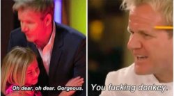 0719 / Gordon Ramsay kids vs adults 第 1 张参考图