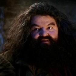 0731 / You're a wizard harry 第 1 张参考图