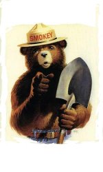0736 / Smokey The Bear 第 1 张参考图