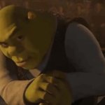 0776 / shrek rizz 第 1 张参考图